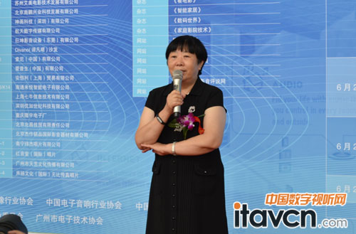 CIT2015中國影音集成展