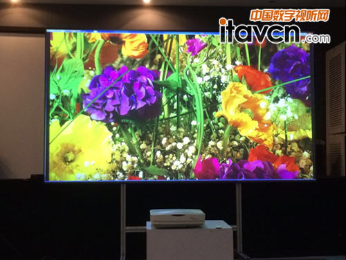 新年給家一個大面子