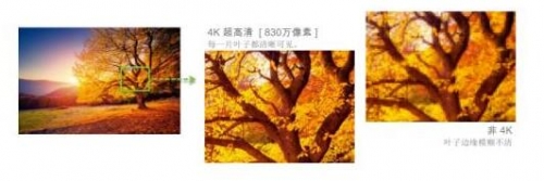 4Kֱʘ˜YTI XPR gṩ^830fЧ׌F