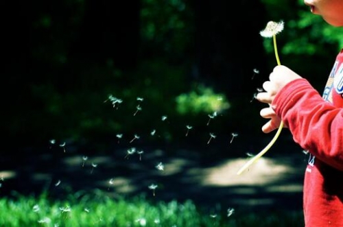 聚音寶:定向聲技術是一項開創新的音頻解決方案