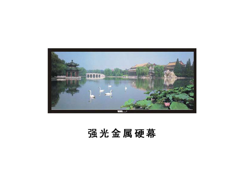 VIVIscreen-Ͷ(qing)Ļ