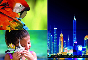 未來大屏拼接行業發展態勢簡要分析