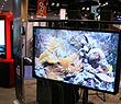 infocomm2011չF(xin)棨D
